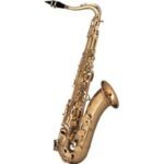 Saxophone Tenor Selmer Reference 54 Passive